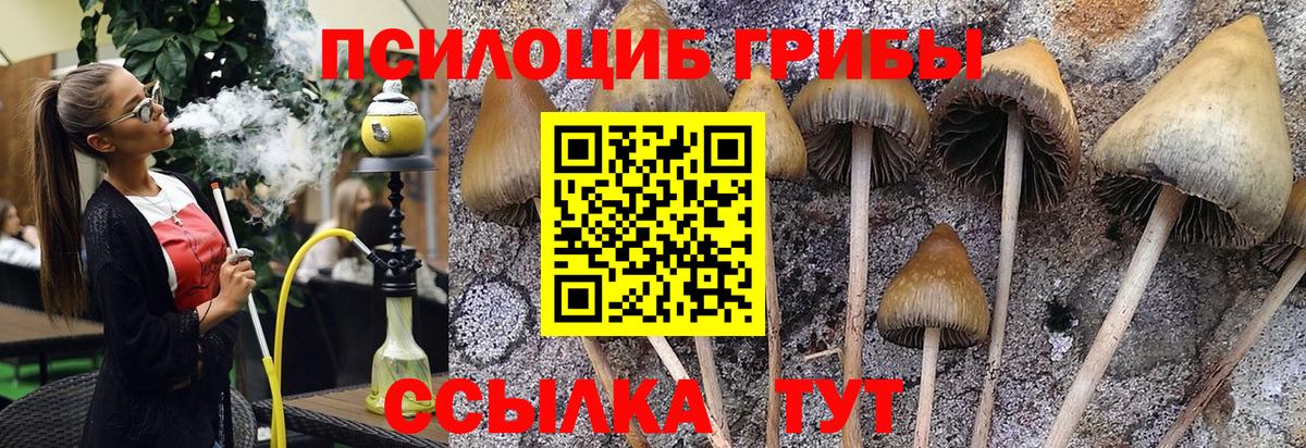 Галлюциногенные грибы мухоморы  хочу   Губаха  Вход с VPN 